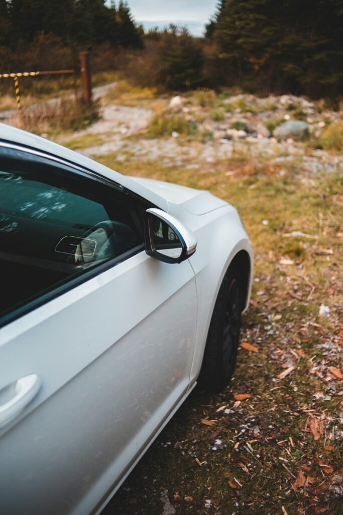How to Get Ants Out of Your Car: Proven Ways to Remove & Keep Ants Away guide to ant sources, car cleaning, removal methods, and long-term prevention.