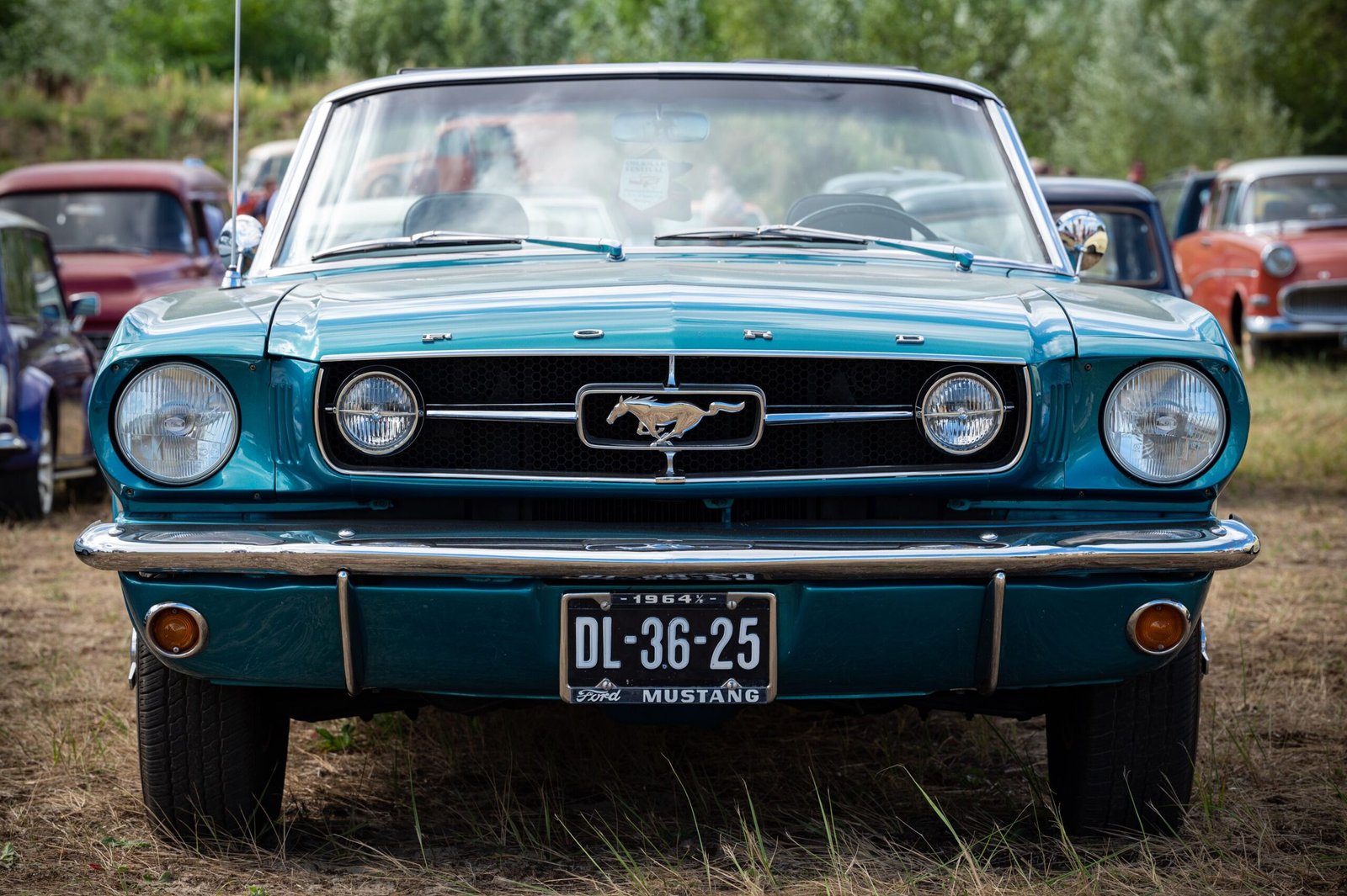 Why Do People Register Cars in Montana? LLC Registration & Legal Rules