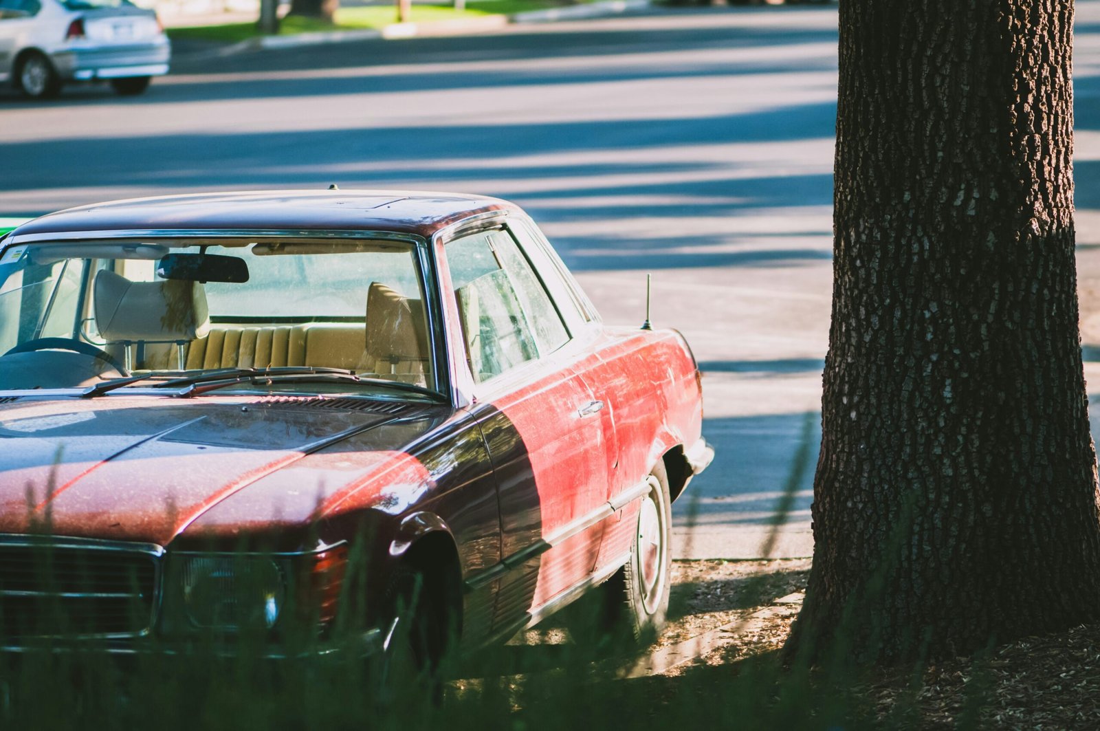 How to Get Ants Out of Your Car: Proven Ways to Remove & Keep Ants Away